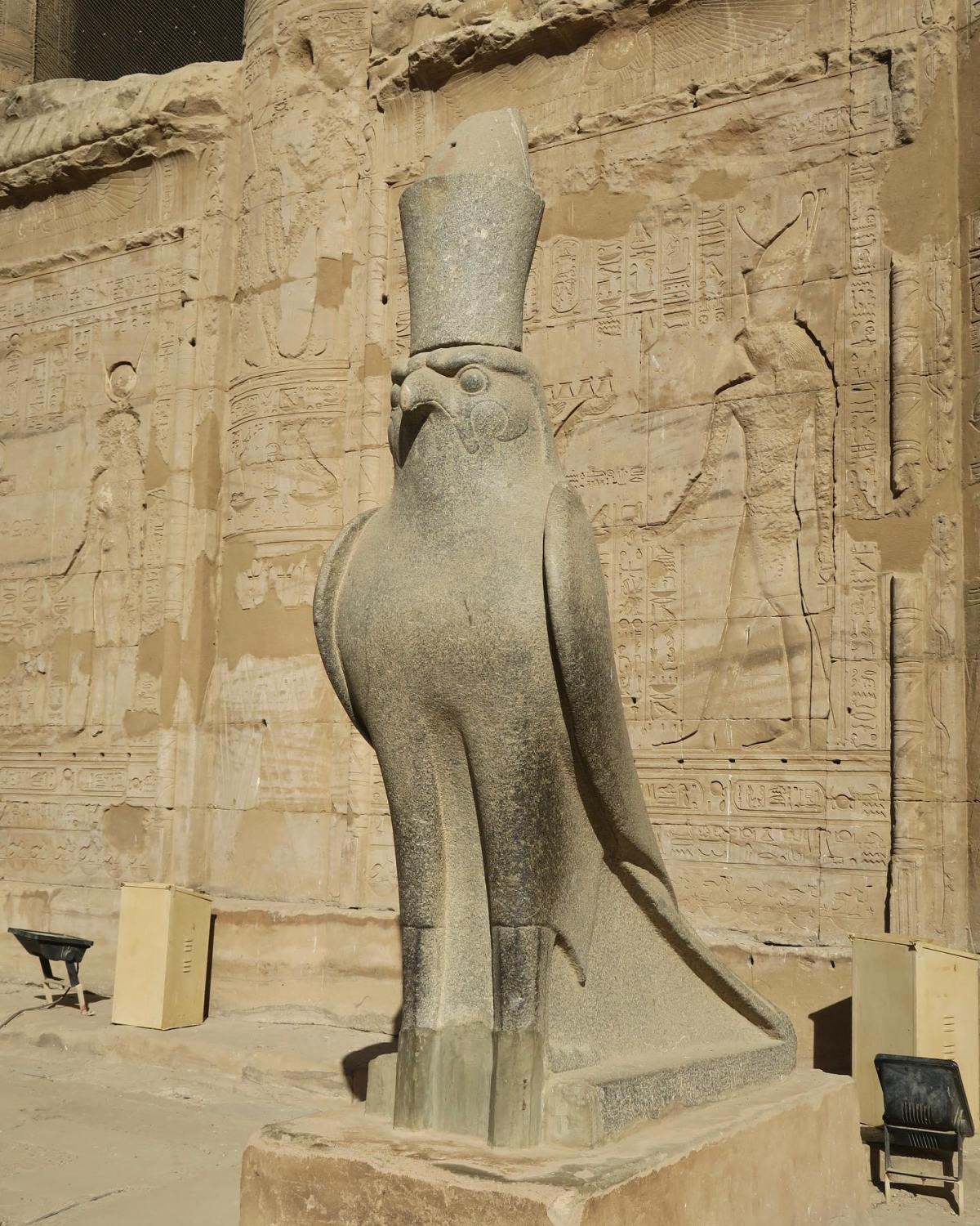 埃及的大象
